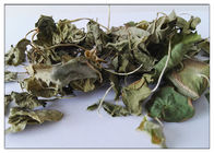 Gotu 콜라 자연적인 화장용 성분 피부 관리를 위한 60 - 90% 잎 적출