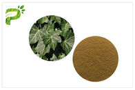 헤데라 나선 Hederacoside 식물 추출물 분말 담쟁이 잎 추출물 치료 기침과 감기