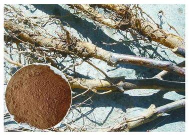 사과 나무 뿌리 순수한 자연적인 식물 추출물, 의약 식물 CAS 60의 적출 82 3
