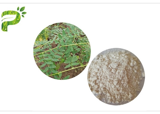 CAS 84687 43 노화 방지 4개의 복사뼈 Membranaceus 추출물 Astragaloside IV 98%