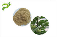 자연적인 식물 Ursolic 산성 추출물, CAS 77 52 1 감 잎 분말 높은 순수성