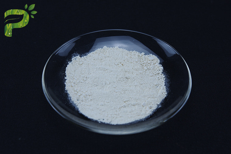 시티딘 디포스파트 콜린 CDP 콜린 시티콜린 뇌 건강을 향상 CAS 987-78-0