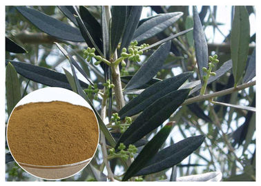 하이드 록시 타이 솔 고혈압 CAS 10597를 위한 올리브 잎 추출물 60 1