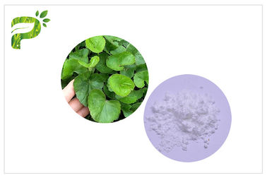 CAS 34540 22 2 Centella Asiatica 추출물, Madecassoside Gotu 콜라 추출물