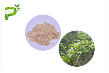 잔존물 증후군 CAS 27200를 위한 Ampelopsis Grossedentata 추출물 Dihydromyricetin/DHM 12 0